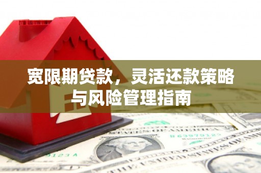 汕尾宽限期贷款，灵活还款策略与风险管理指南