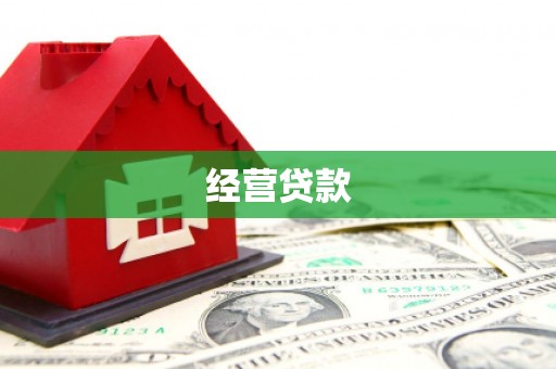 岳麓经营贷款