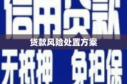 裕华贷款风险处置方案
