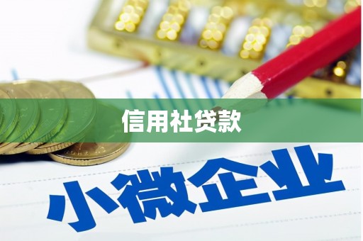 山南信用社贷款
