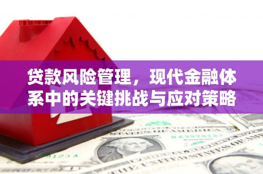 青河贷款风险管理，现代金融体系中的关键挑战与应对策略