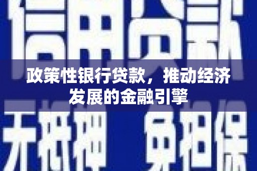 涵江政策性银行贷款，推动经济发展的金融引擎