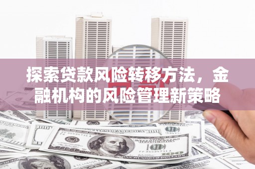 民丰探索贷款风险转移方法，金融机构的风险管理新策略
