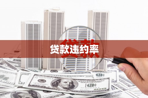 平南贷款违约率