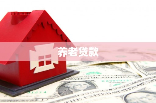 和田市养老贷款