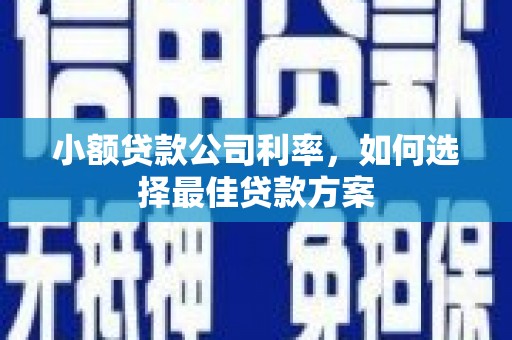番路小额贷款公司利率，如何选择最佳贷款方案