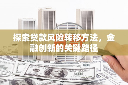 萨嘎探索贷款风险转移方法，金融创新的关键路径