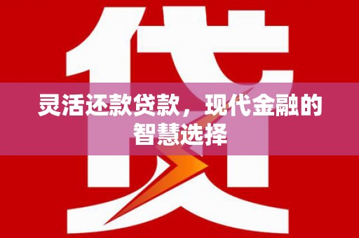 新会灵活还款贷款，现代金融的智慧选择