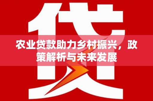 罗定农业贷款助力乡村振兴，政策解析与未来发展