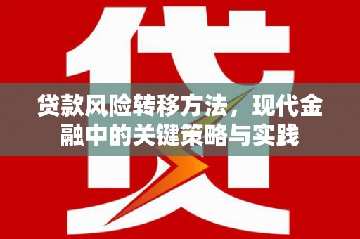 王益贷款风险转移方法，现代金融中的关键策略与实践