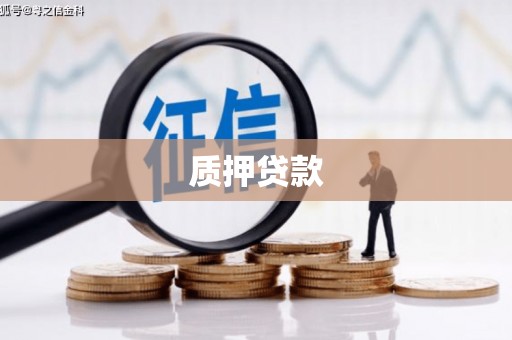 红星质押贷款