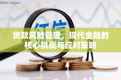 高埗贷款风险管理，现代金融的核心挑战与应对策略
