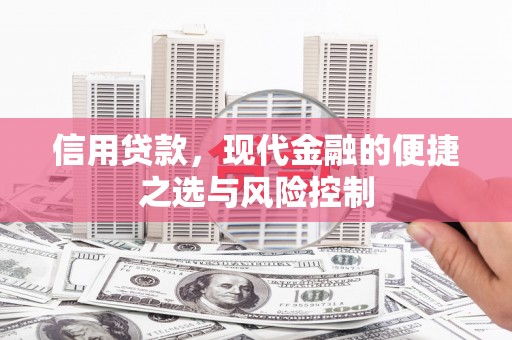 贞丰信用贷款，现代金融的便捷之选与风险控制