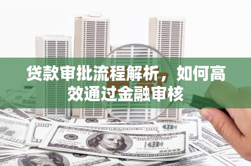 始兴贷款审批流程解析，如何高效通过金融审核