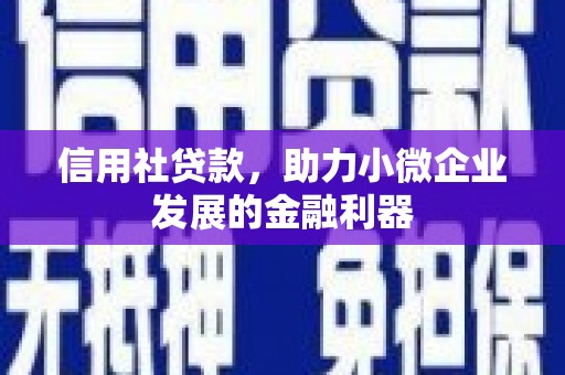 瑞芳信用社贷款，助力小微企业发展的金融利器