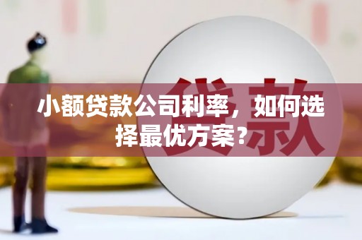 柳南小额贷款公司利率，如何选择最优方案？