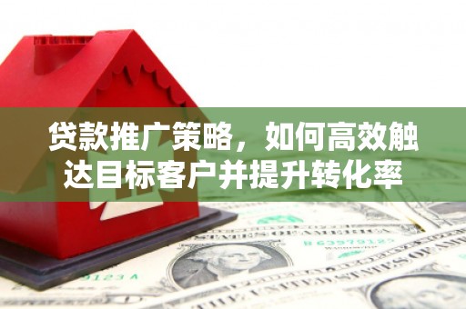 宣化贷款推广策略，如何高效触达目标客户并提升转化率