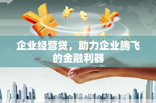 盐津企业经营贷，助力企业腾飞的金融利器