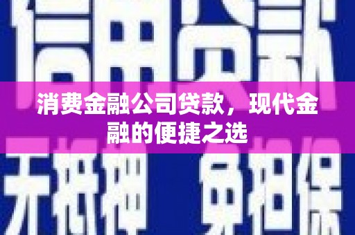 海陵消费金融公司贷款，现代金融的便捷之选