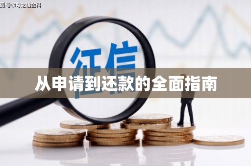 昭平从申请到还款的全面指南
