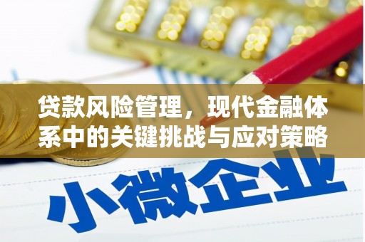 春日贷款风险管理，现代金融体系中的关键挑战与应对策略