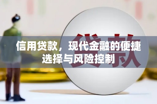 惠城信用贷款，现代金融的便捷选择与风险控制