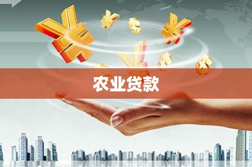 上甘岭农业贷款