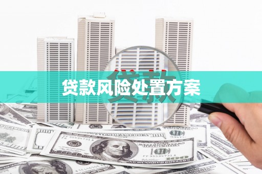 新晃贷款风险处置方案