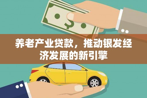 洞口养老产业贷款，推动银发经济发展的新引擎