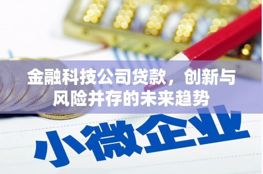 宁陵金融科技公司贷款，创新与风险并存的未来趋势