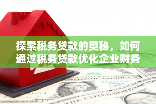 响水探索税务贷款的奥秘，如何通过税务贷款优化企业财务