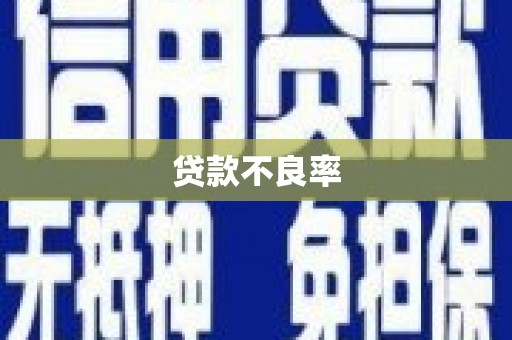 彬县贷款不良率