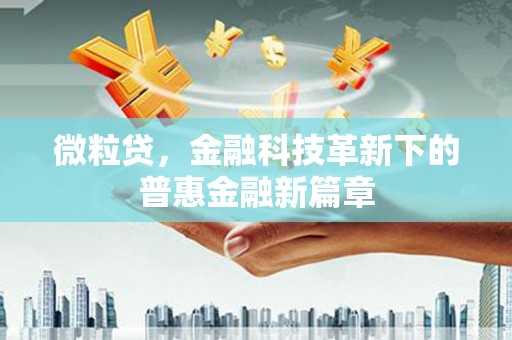 市中区微粒贷，金融科技革新下的普惠金融新篇章
