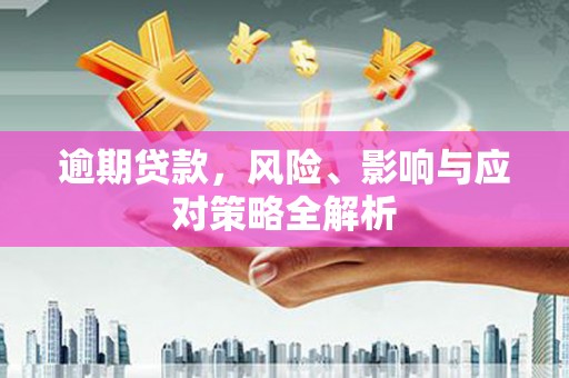 太麻里逾期贷款，风险、影响与应对策略全解析