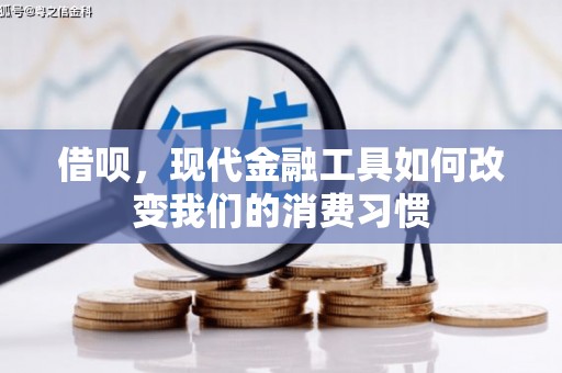 海原借呗，现代金融工具如何改变我们的消费习惯