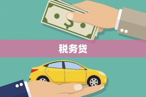 金溪税务贷