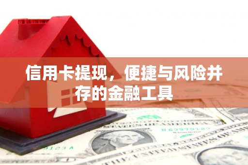 大安信用卡提现，便捷与风险并存的金融工具