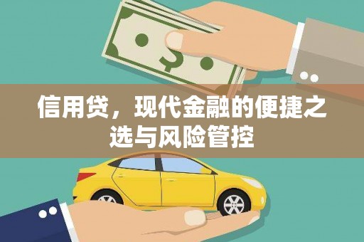 大关信用贷，现代金融的便捷之选与风险管控