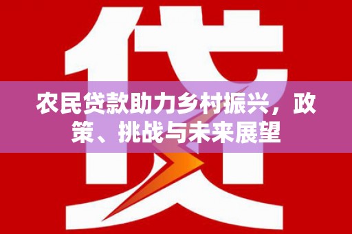 枣强农民贷款助力乡村振兴，政策、挑战与未来展望