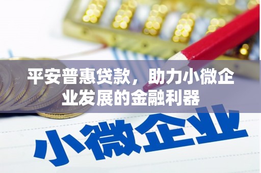 商州平安普惠贷款，助力小微企业发展的金融利器