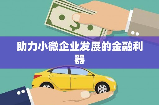 台西助力小微企业发展的金融利器