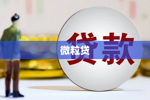 天河微粒贷