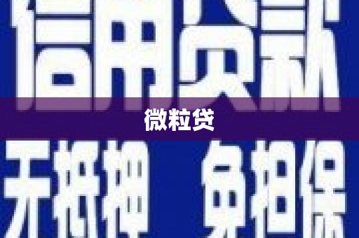 永新微粒贷