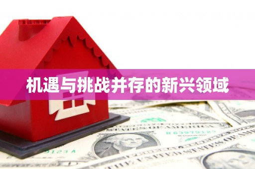 莎车机遇与挑战并存的新兴领域
