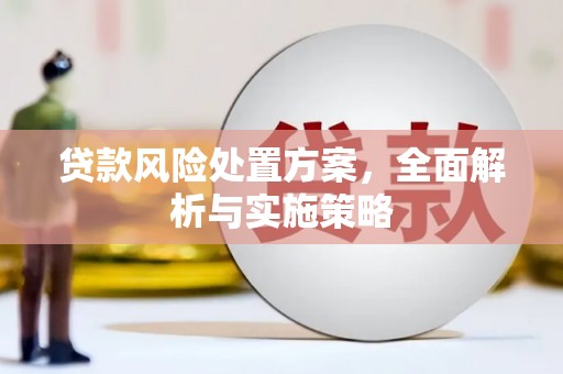 黄陂贷款风险处置方案，全面解析与实施策略