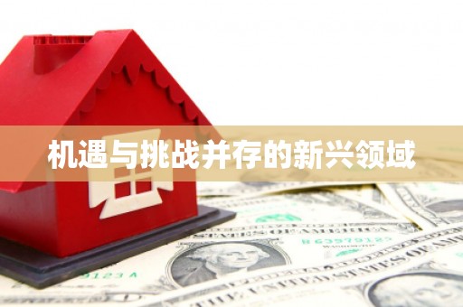 西昌机遇与挑战并存的新兴领域