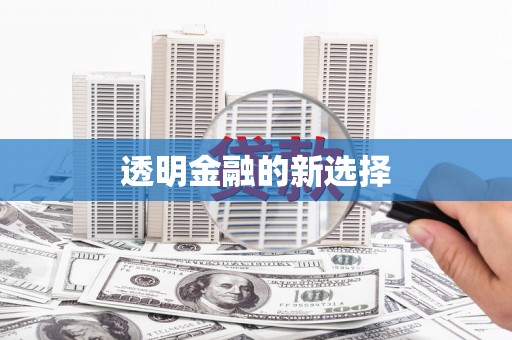 新洲透明金融的新选择