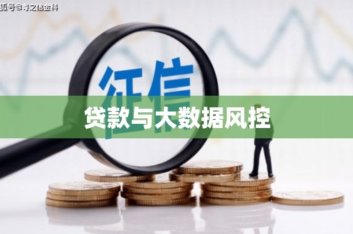 瑞芳贷款与大数据风控