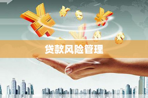 林芝贷款风险管理