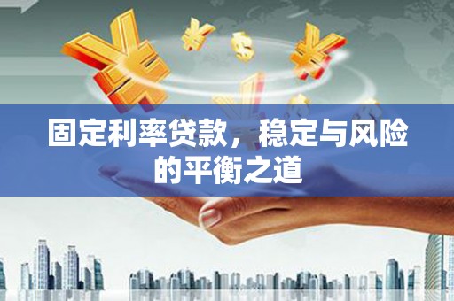 玄武固定利率贷款，稳定与风险的平衡之道